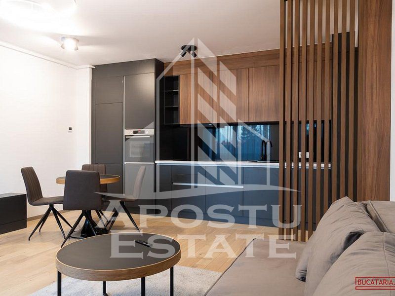 Apartament lux cu doua camere open space in zona Take Ionescu